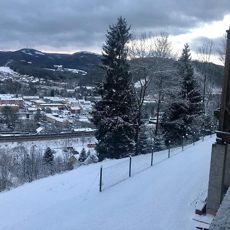 Lambach Villa Appartament 2 뮈르츠슐라크 외부 사진